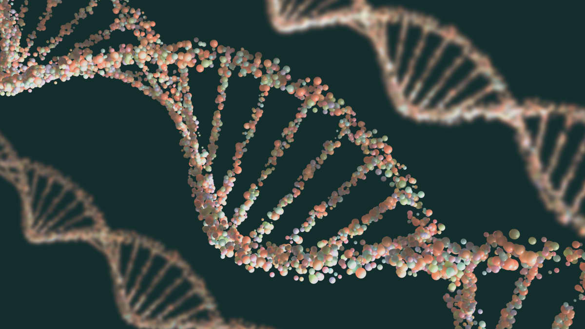 En DNA -sekvens.
