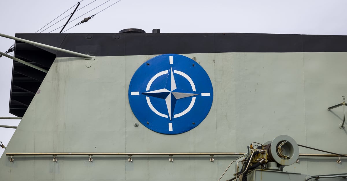 Monitoring group finland should be cautious about nato s nuclear