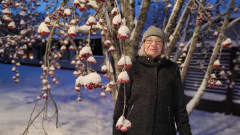 Nainen seisoo talvivaatteissaan lumisen pihlajan katveessa.