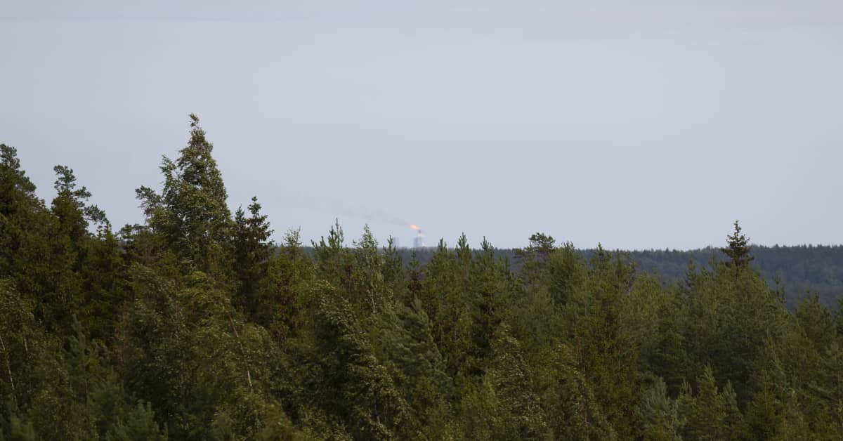 yle.fi