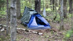 Sininen teltta keskellä metsää. Teltan suu on avoinna.