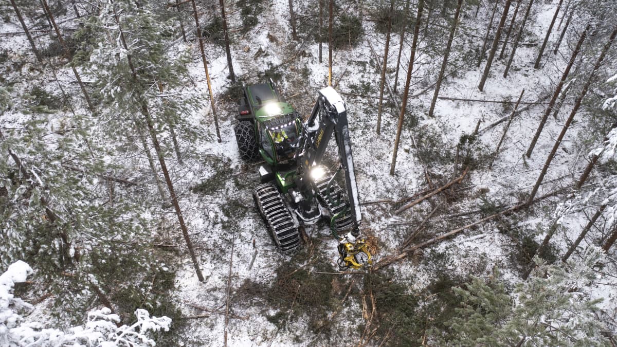 Vihreä metsätyökone etenee lumisessa metsässä.