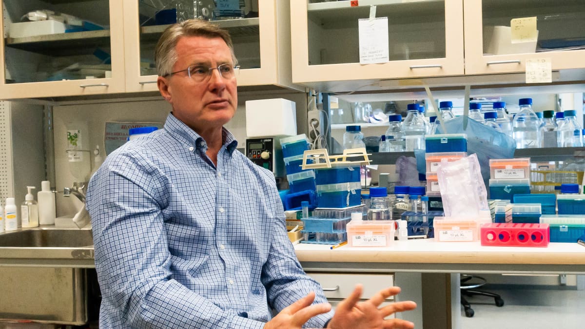 Virologian professori Kalle Saksela laboratoriossa Hgin Yliopiston Meilahden lääketieteellisessä laitoksessa.