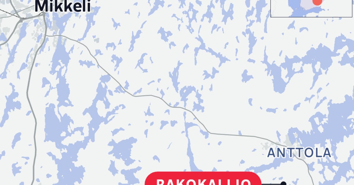 Koira pelastettu syvästä rotkosta Mikkelissä – dramaattinen pelastusoperaatio Rakokalliossa