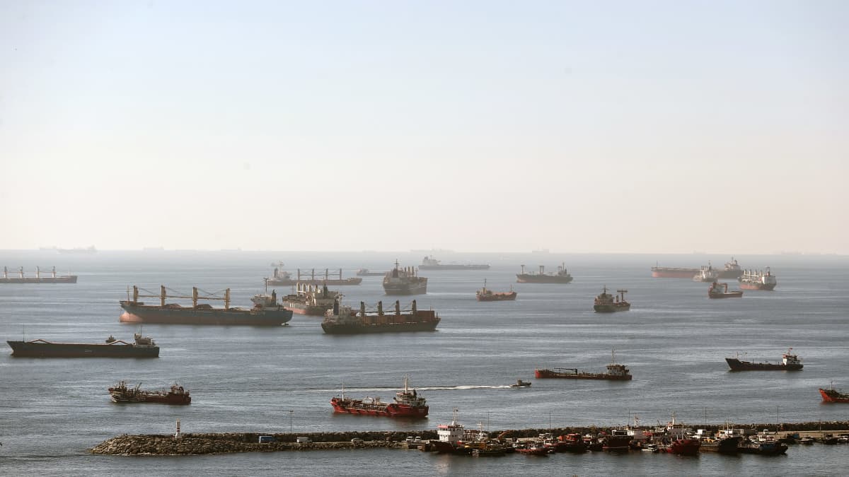 Rahtilaivoja ankkurissa Istanbulin edustalla Turkissa.
