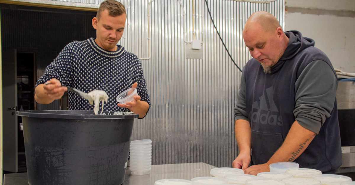 Tusen burkar strömming från Borgå till Helsingfors – årets ...
