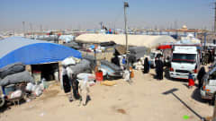 Näkymä al-Holin pakolaisleiristä.