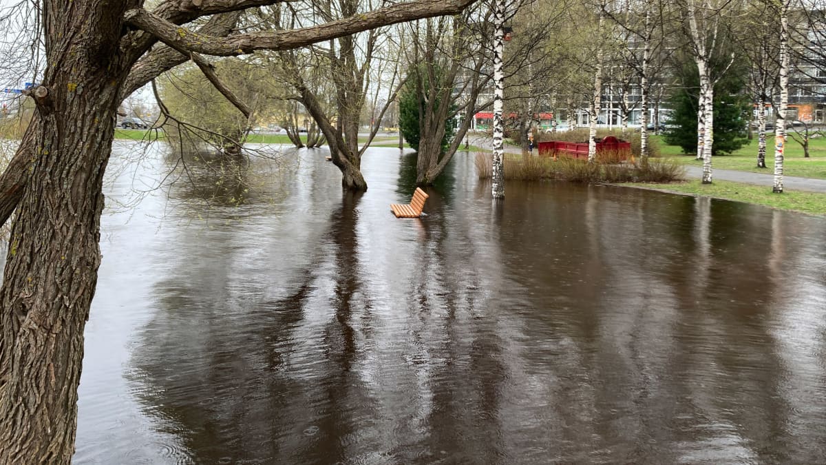 Tulvaveden saartama puupenkki Tornion Nordbergin rannassa.