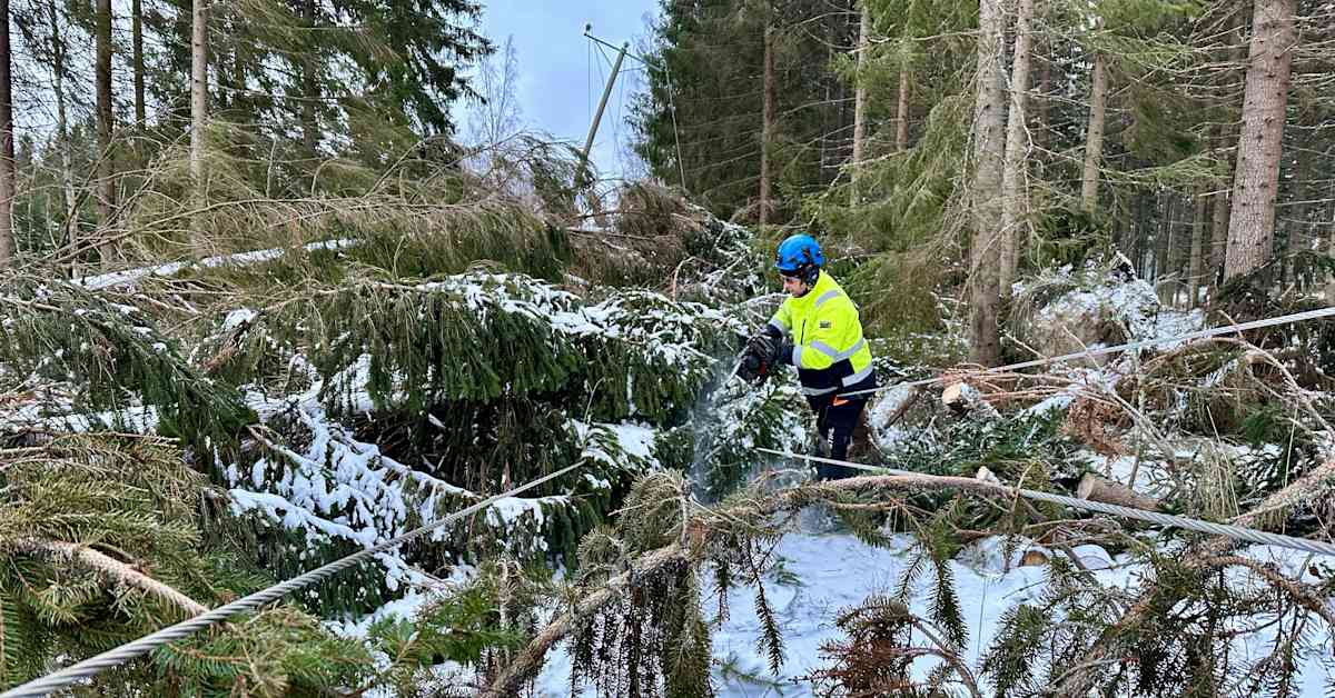Hannes-myrskyn vahinkojen kokoluokka alkaa olla selvillä – Lähitapiolan korvaukset 25 miljoonaa euroa