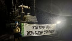 Hakkuita vastustava aktivisti pitää kiinni hakkuukoneen edessä olevasta kankaasta, johon on kirjoitettu Stå upp för den sista skogen.