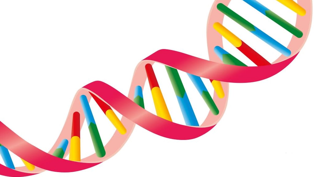 Piirroskuva DNA:n kaksoiskierteestä. 