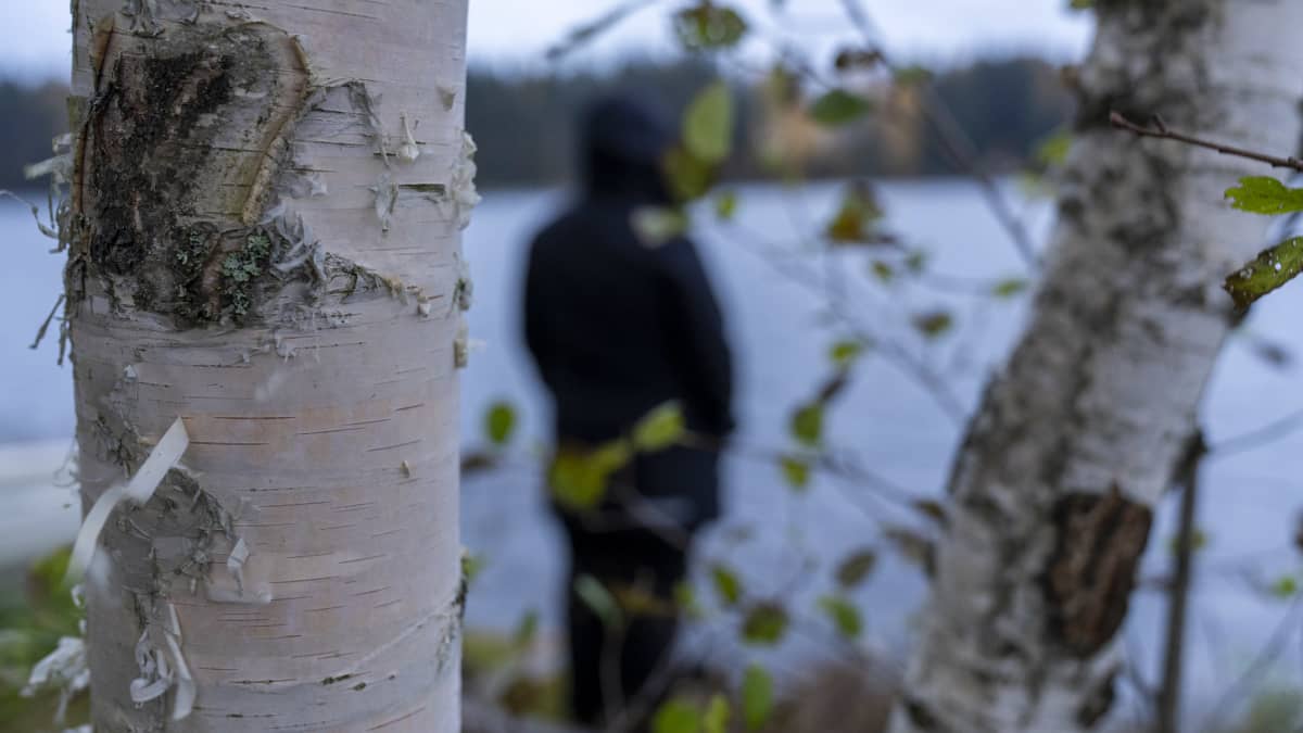 Anonyymi hahmo seisoo järven rannalla selkä päin, huppu päässä, etualalla koivuja.