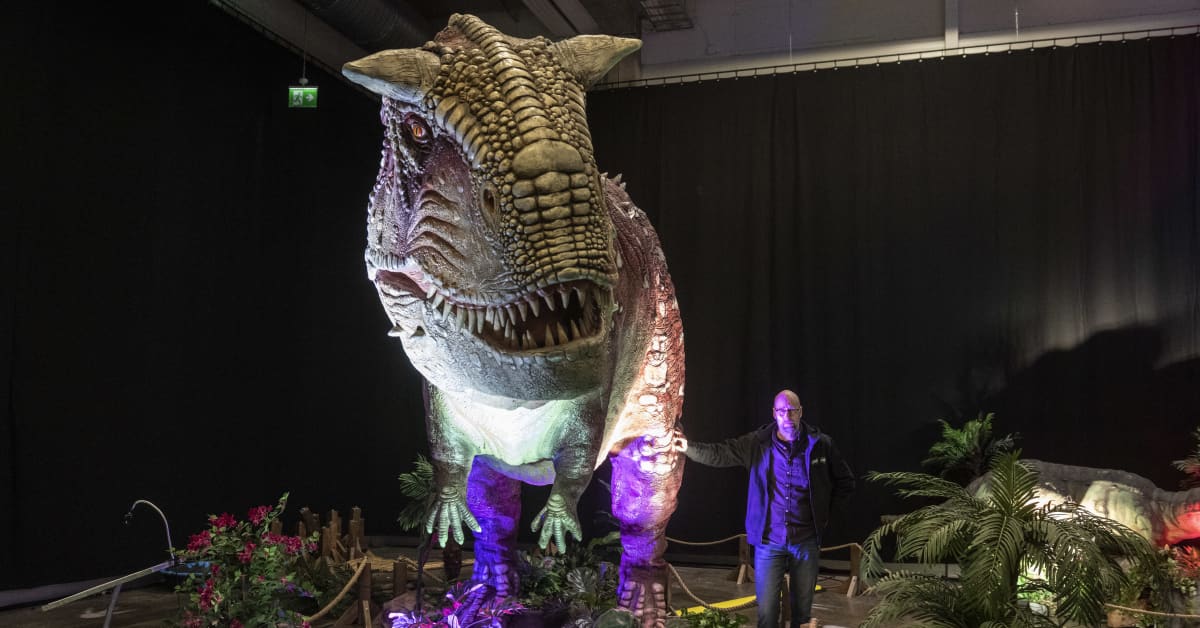 Suomen suurin dinosaurusnäyttely avattiin Oulussa – katso, miltä liikkuvat ja ääntelevät hirmuliskot näyttävät