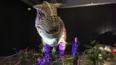 Tiedekeskus Tietomaan näyttelyvastaava Jukka Pitkänen nojaa kädellään Tyrannosaurus rexiin, joka on esillä Dinosauria-näyttelyssä.