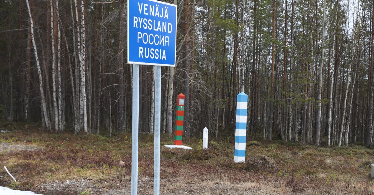 Граница по фински. Граница по фински. Финская граница с россией. Российско-финская граница. Российско-финская граница.