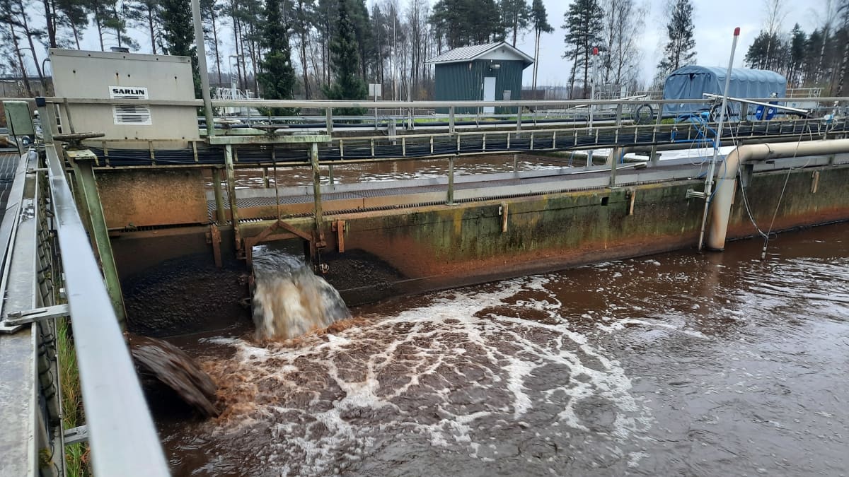 Toikansuon jätevedenpuhdistamon allas.