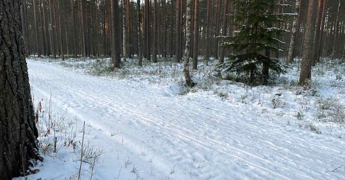 Little Snow Winter Challenges Skiers in Eastern Finland – Classic Ski Trails Still Scarce Due to Insufficient Snow