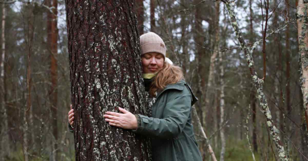 Lapland Silence & New Road Plan: Tourism vs. Development in Kittilä, Finland