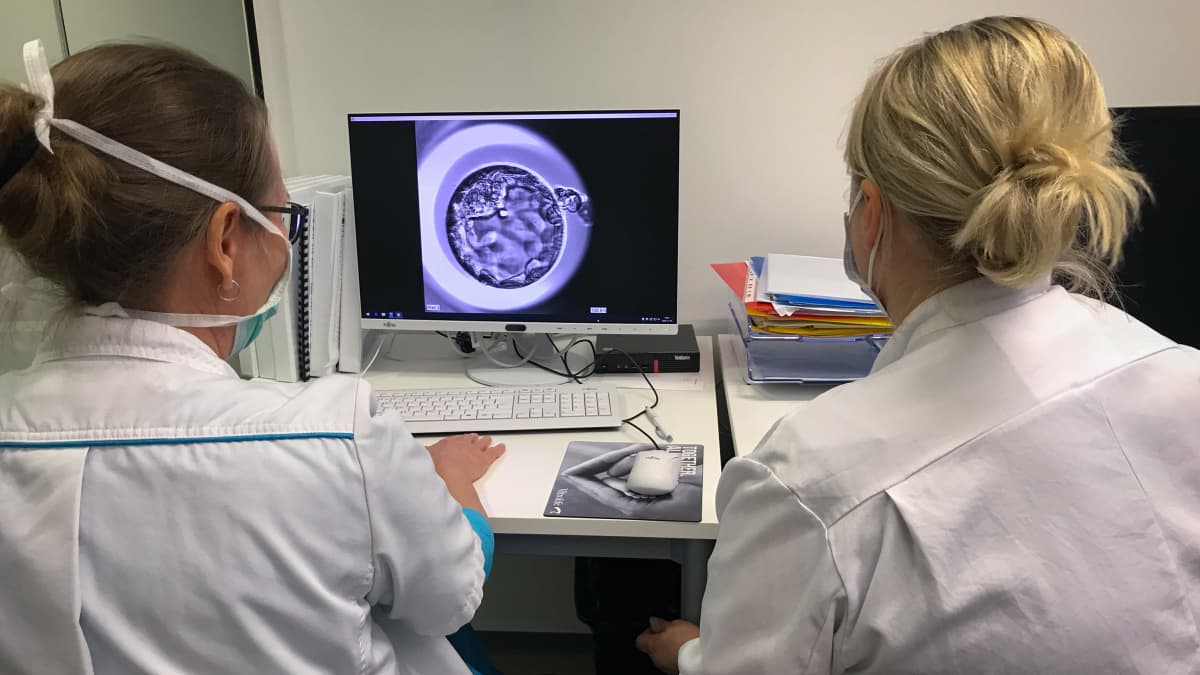 Hedelmöityshoitolain tutkiva biologi ja lääkäri katsovat mikroskooppikuvaa hedelmöittyneestä sukusolusta tietokoneelta