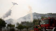 Flygplan släcker skogsbrand från luften, brandbil med brandbekämpare i förgrunden. Fotograferat i Koskinas i Grekland.