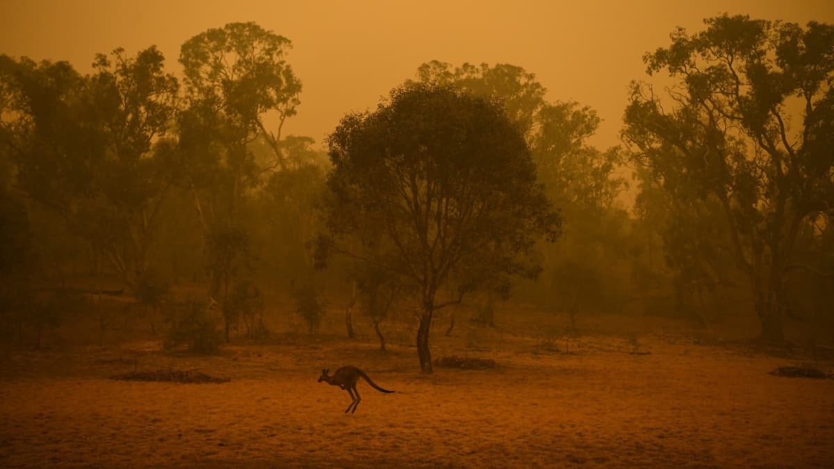 Kuva Canberran alueelta 5. tammikuuta. Canberran ilmanlaatu oli sunnuntaina maailman huonoin.