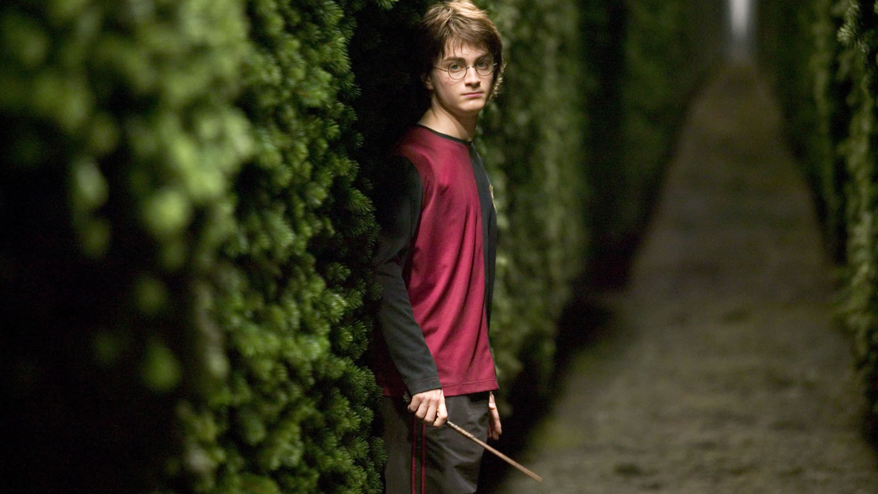 Harry Potter labyrintissä.