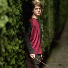 Harry Potter labyrintissä.
