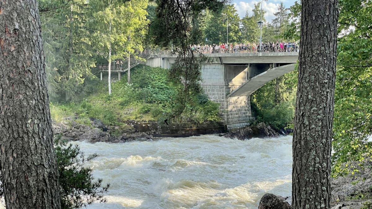 Imatrankosken koskinäytös kesällä 2022. Vesi kuohuu kosken uomassa. Ihmisiä katsomassa koskea sillalta.