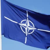 Sinivalkoinen Nato-lippu.