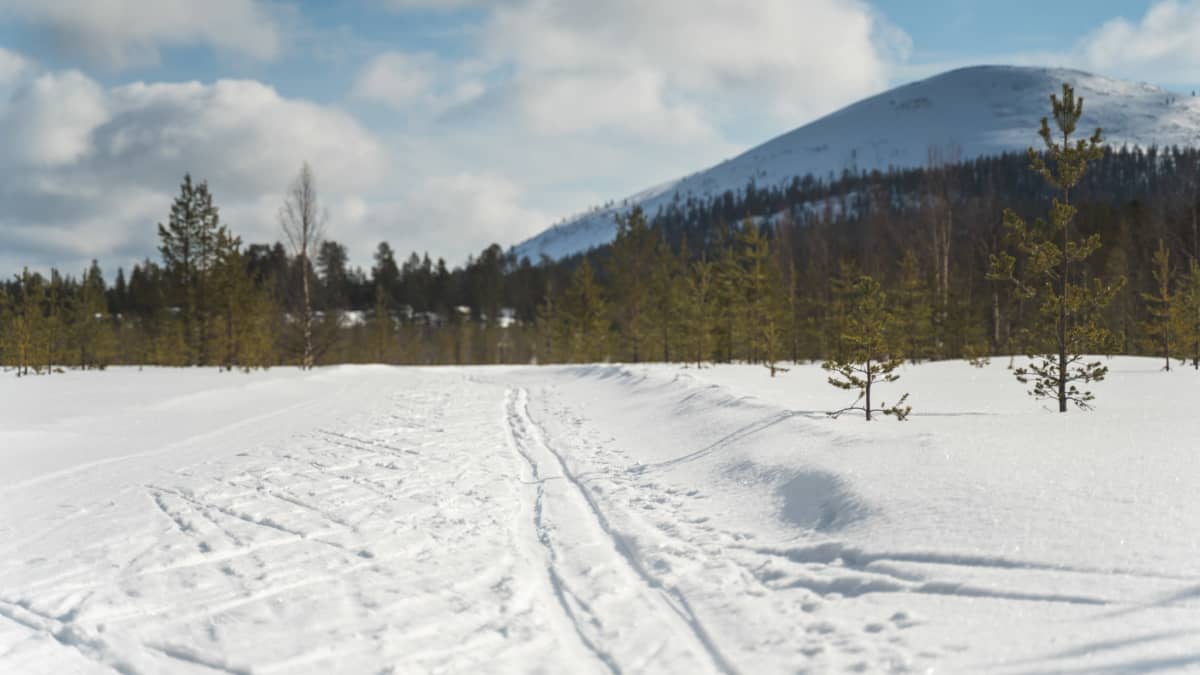 Matkailupomon terveiset autioituneesta Lapista: 