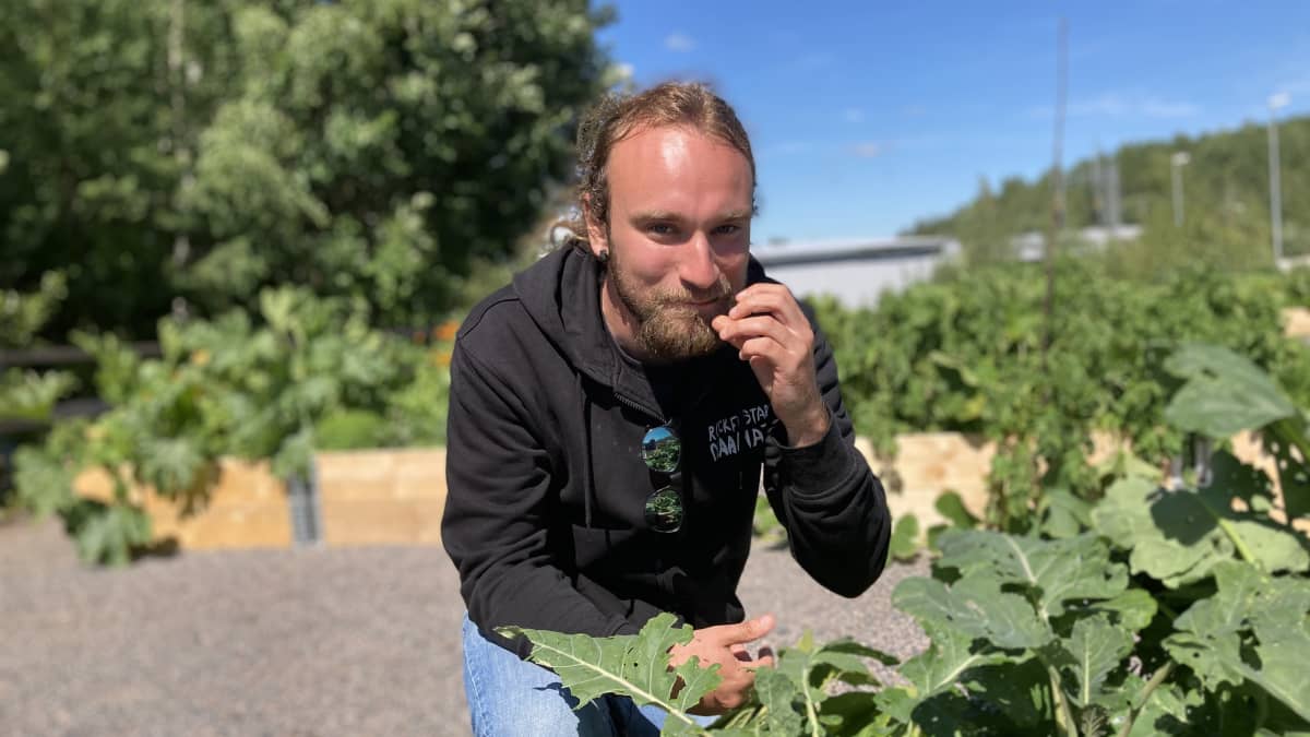 Sauli Rantanen Kera-kollektiivinen kaupunkiviljelmällä