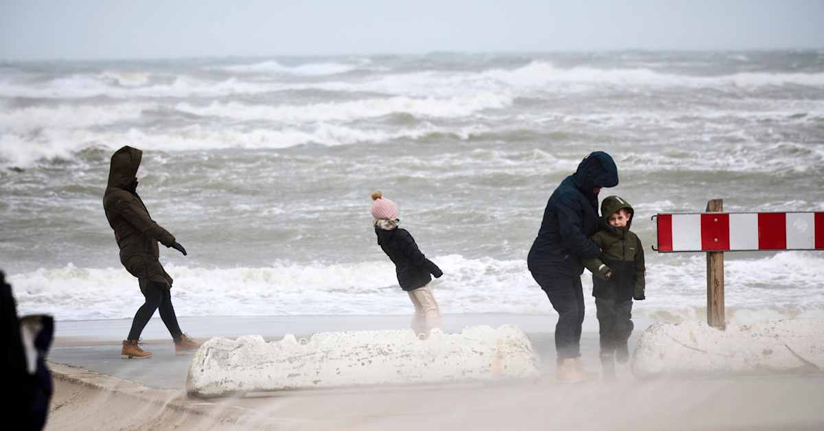 Tsunami Warning Today: How Global Severe Weather Intersects with Real-Time Earthquake Activity on a 3D Globe