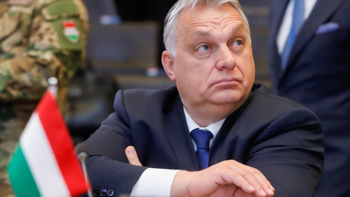 Премьер-министр Польши: Орбан обещал ратифицировать членство Финляндии ...