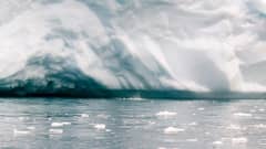 Jäävuoren sulamisvesi valuu mereen Ilulissatissa