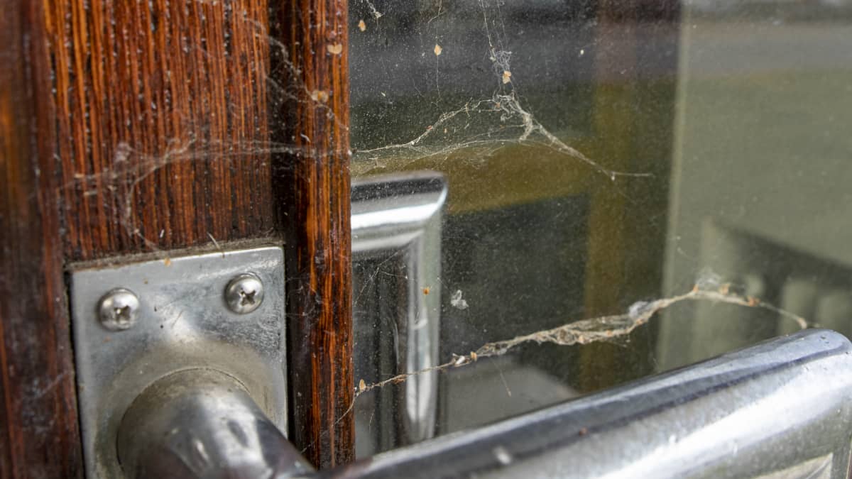 Hämähäkin seittiä käyttökiellossa olevan rakennuksen oven kahvassa.