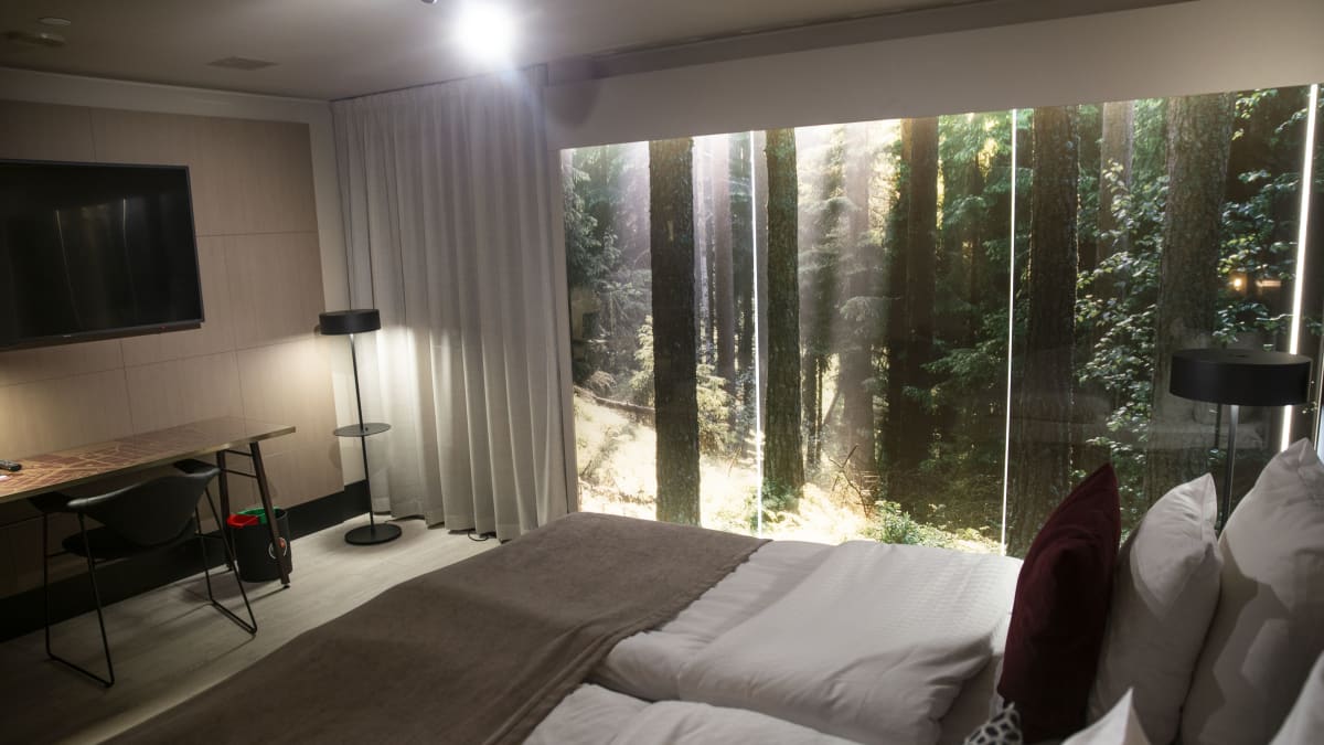 Ikkunaton hotellihuone, jonka seinässä valaistu seinätaulu metsämaisemalla, jonka vieressä vaalea verho.