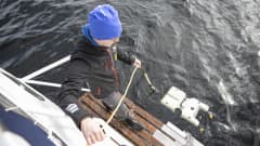 Sukeltaja Mikko Suutari laskee sukellusrobottia veteen. 