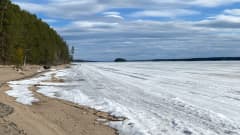 Hetki ennen lumen sulamista Sotkamon Hiukassa. 