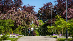 Hatanpään arboretum.