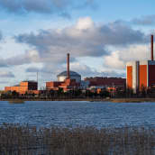 yleiskuva - Olkiluodon ydinvoimalaitoksen reaktorirakennukset kolme ja yksi kuvattuna merenlahden yli. Etualalla kaislikkoa.