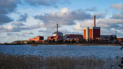 yleiskuva - Olkiluodon ydinvoimalaitoksen reaktorirakennukset kolme ja yksi kuvattuna merenlahden yli. Etualalla kaislikkoa.