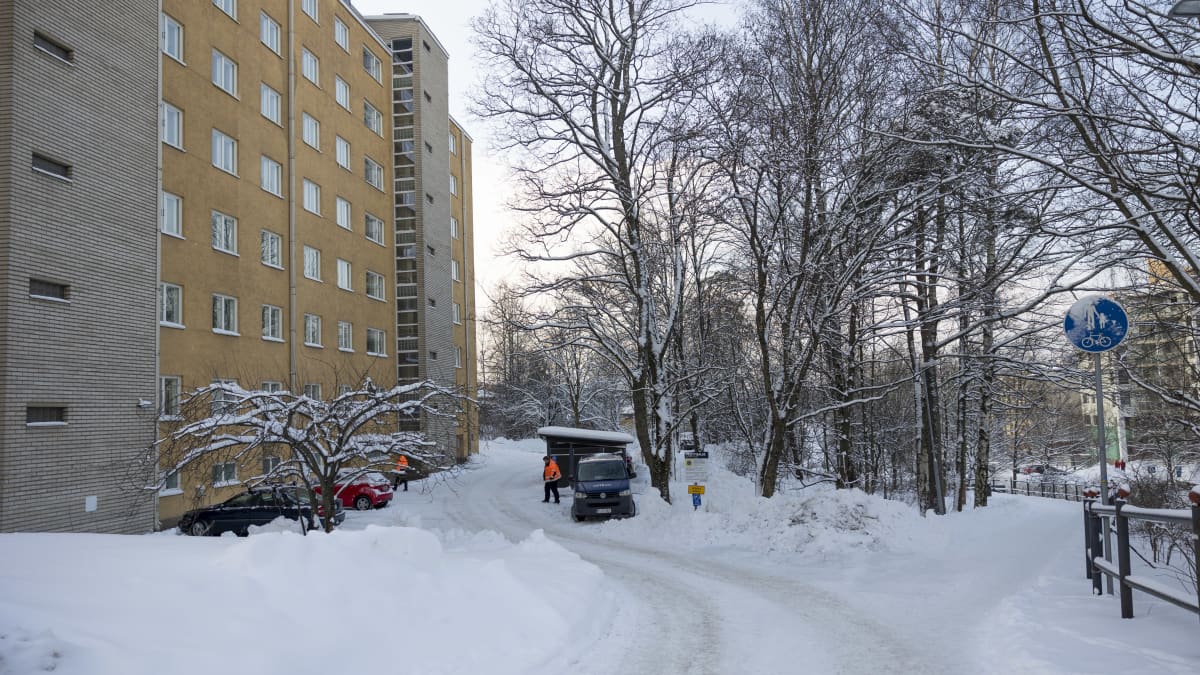 Kerrostalon takapiha, jossa on pieni parkkialue. Sen takana pieni kaistale puistoa, jonka takana kevyenliikenteen väylä.