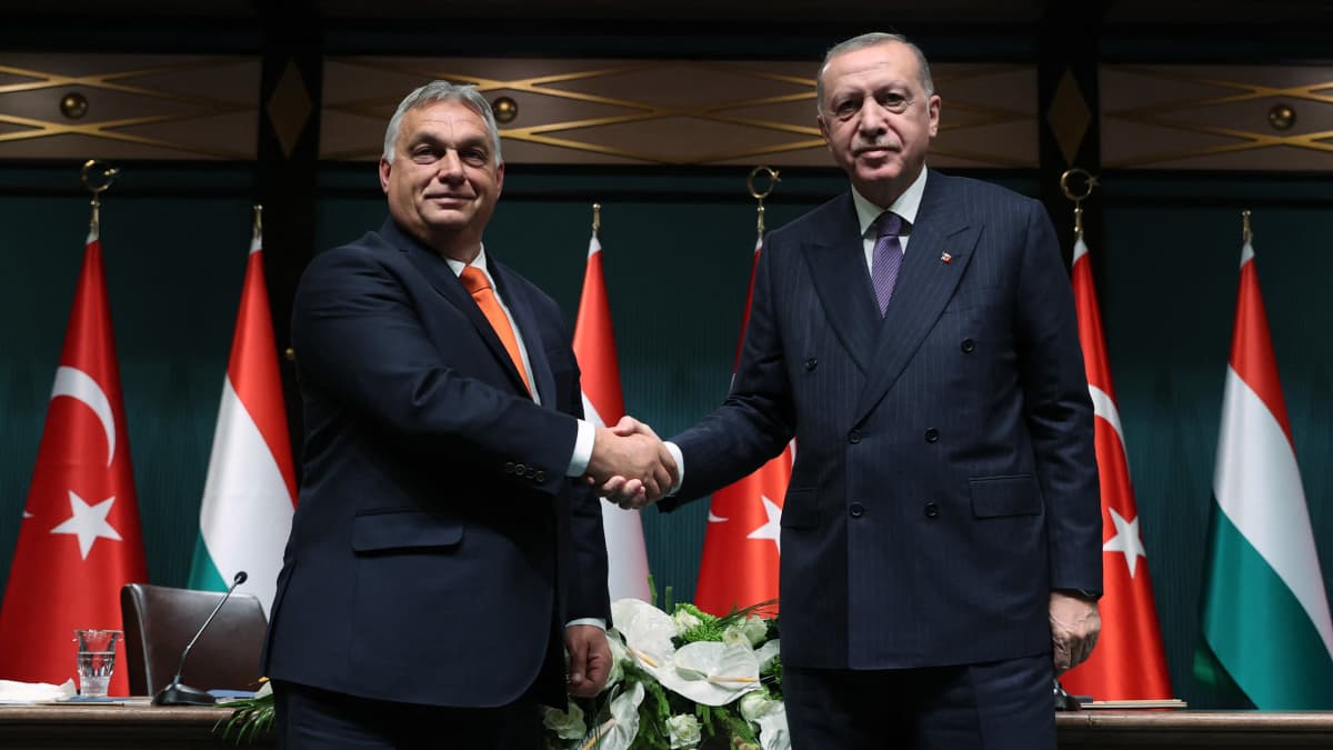 Viktor Orbán och Recep Tayyip Erdoğan i kostymer skakar hand.