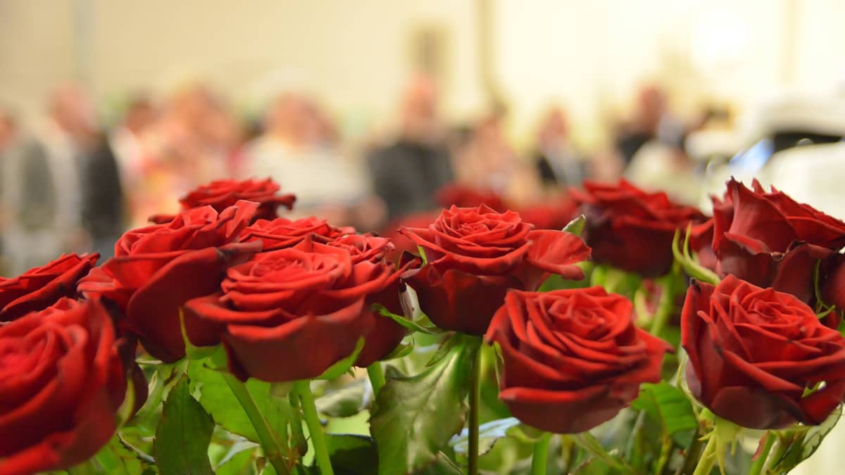 Kuka saa ruusut naistenpäivän aamuna – ehdota henkilöä, jolla on sydän  paikallaan? | Yle Uutiset