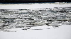 Calypso -hinaajan keulaan kiinnitetty jäätämurtava irtokeula Saimaan kanavassa murtamassa jäätä Soskuan sulun kohdalla, perässä kelluu jäälauttoja 22.3.2021.