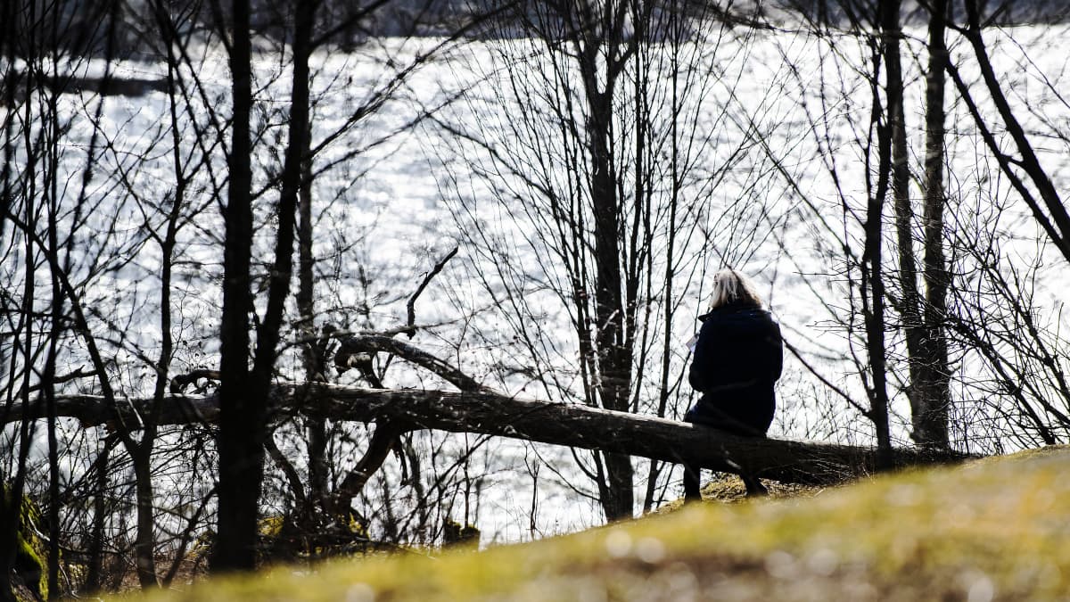 Kuvassa nainen istuu metsässä aurinkoisella säällä.