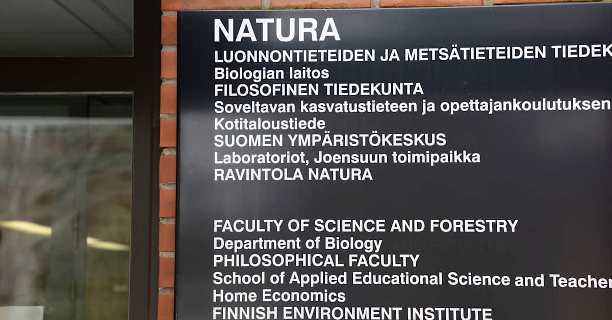 Jopa psykologian opiskelijat hakevat nyt epätoivoisesti työharjoitteluun: ”Ottaisin paikan mistä vain”