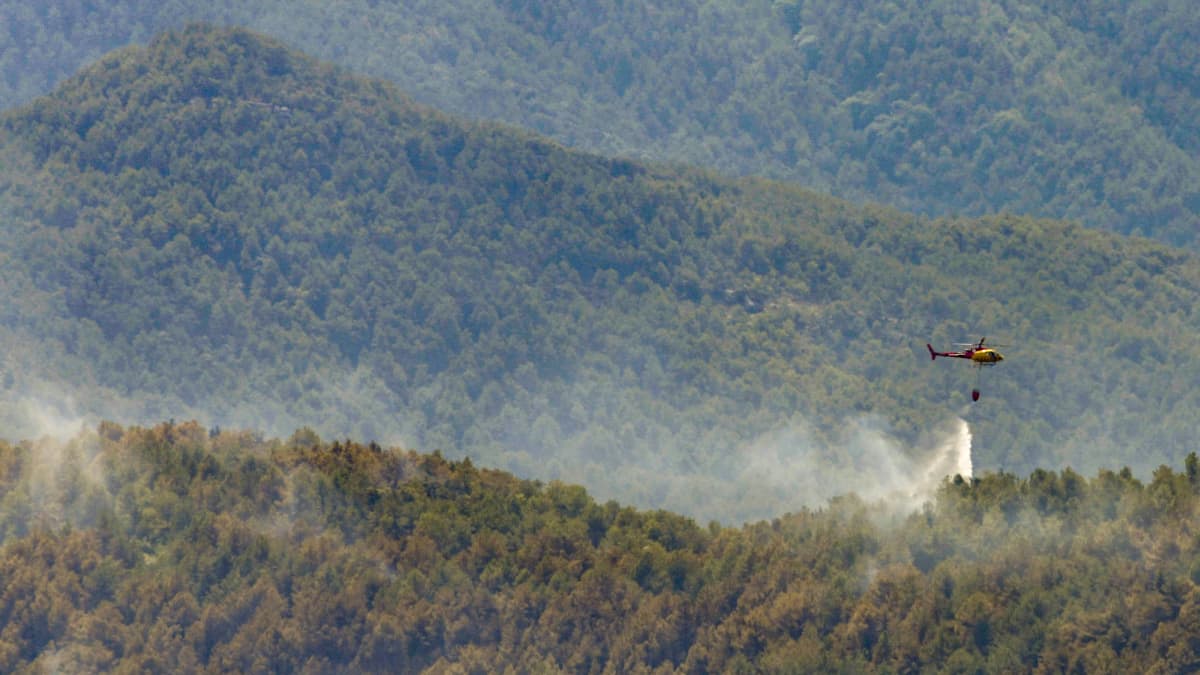 En helikopter som släpper ut vatten över ett skogsområde i Spanien i försök att släcka en brand.