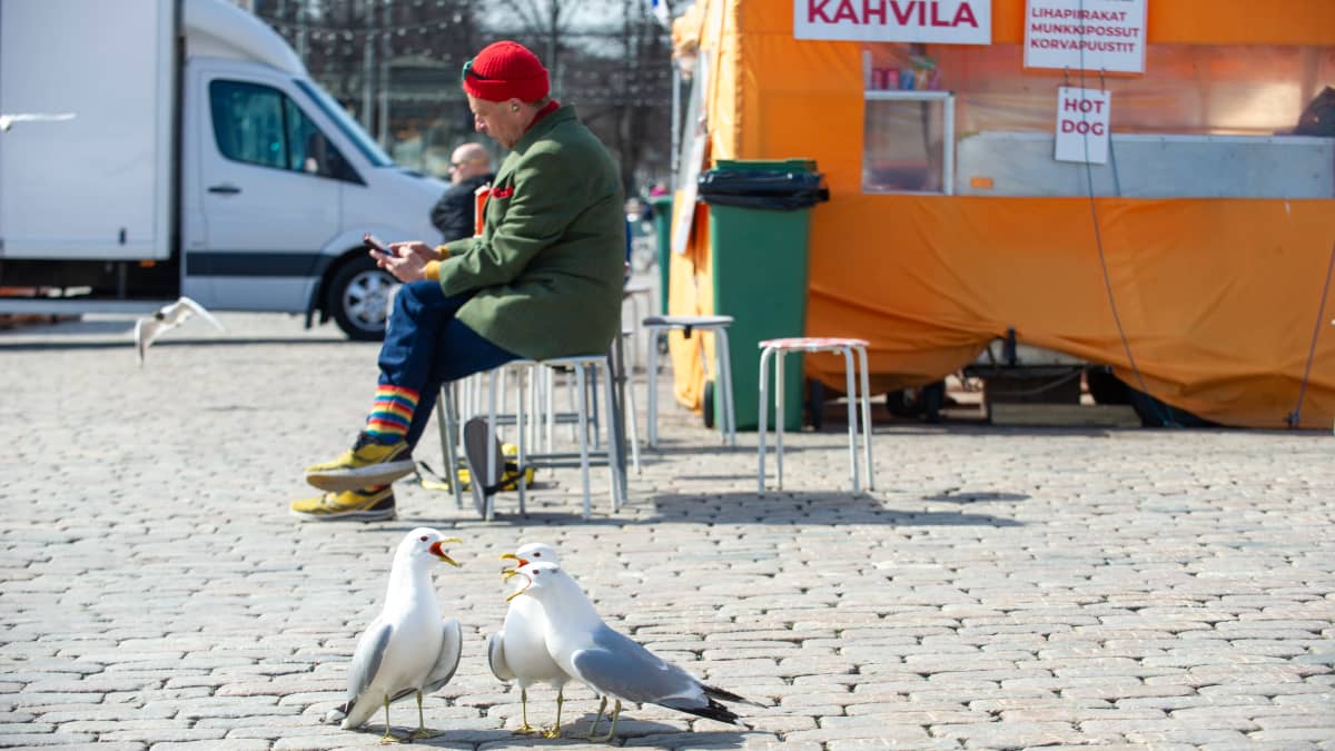 Lokit Helsingin kauppatorilla. 20.4.2021