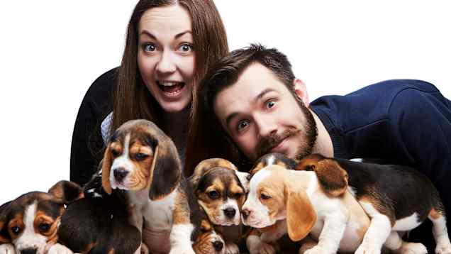 Leende man och kvinna omgivna av hundvalpar